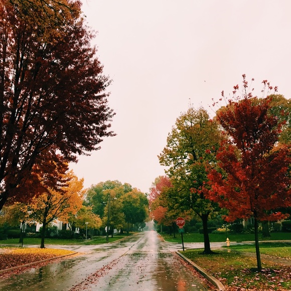 Meet your Posher, M - Picture 1 of 1